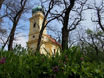 Luleč - Kostel sv. Martina_7